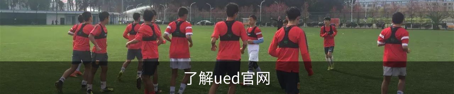 了解ued官网